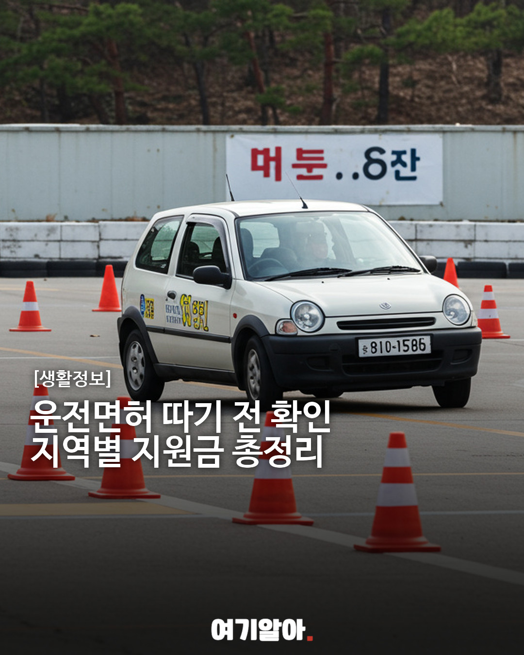 2026 지역별 운전면허 취득 지원금