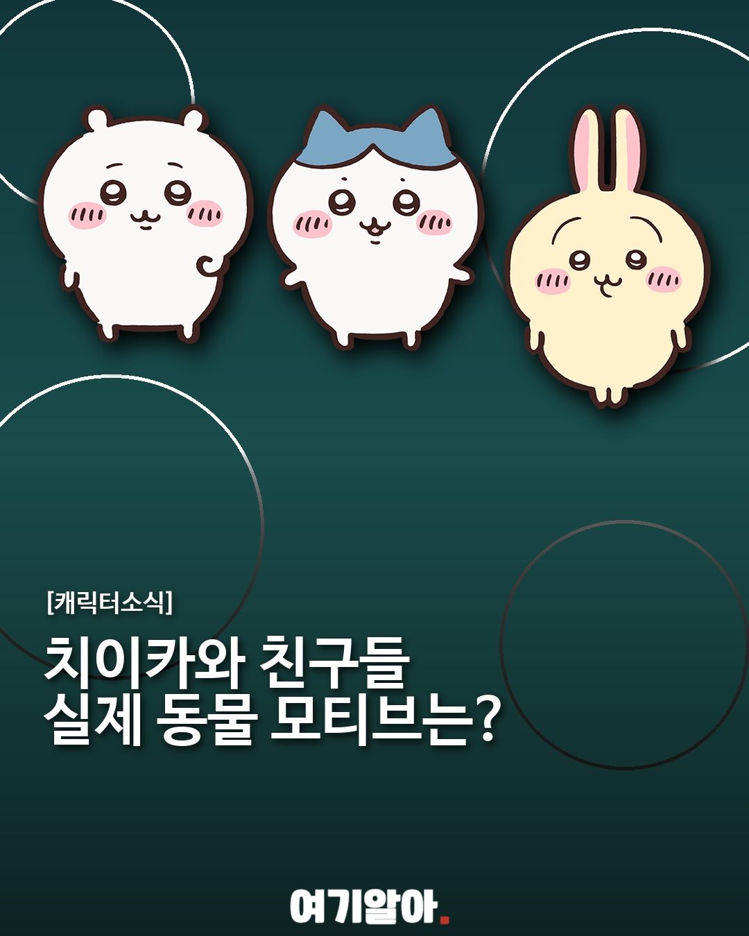 치이카와·하치와레·우사기, 어떤 동물을 닮았을까?
