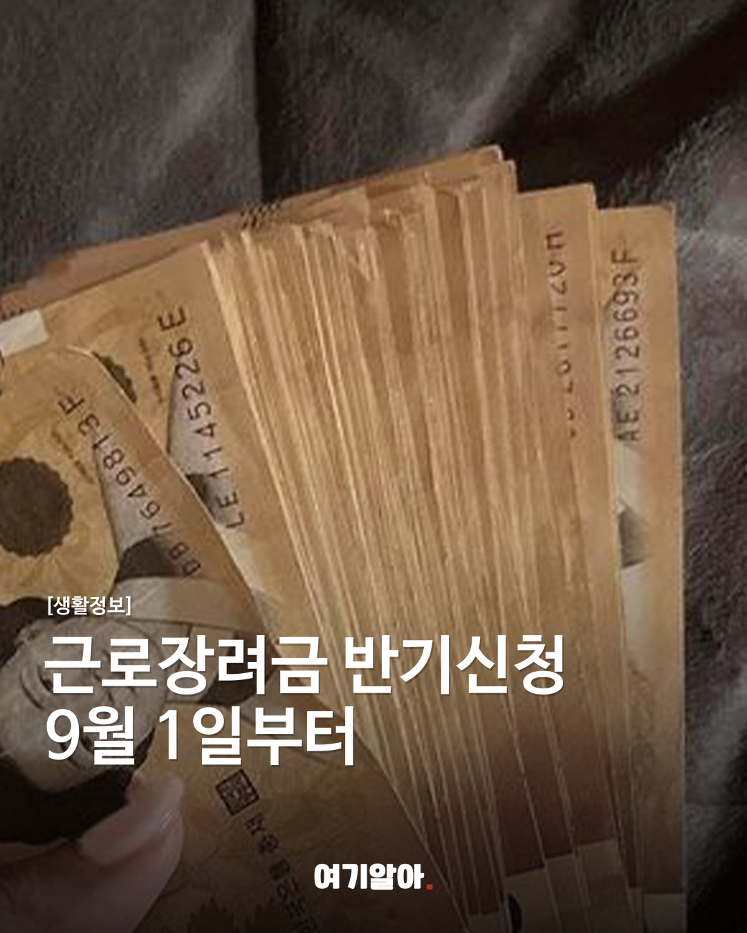 근로장려금 반기신청 9월 1일부터
