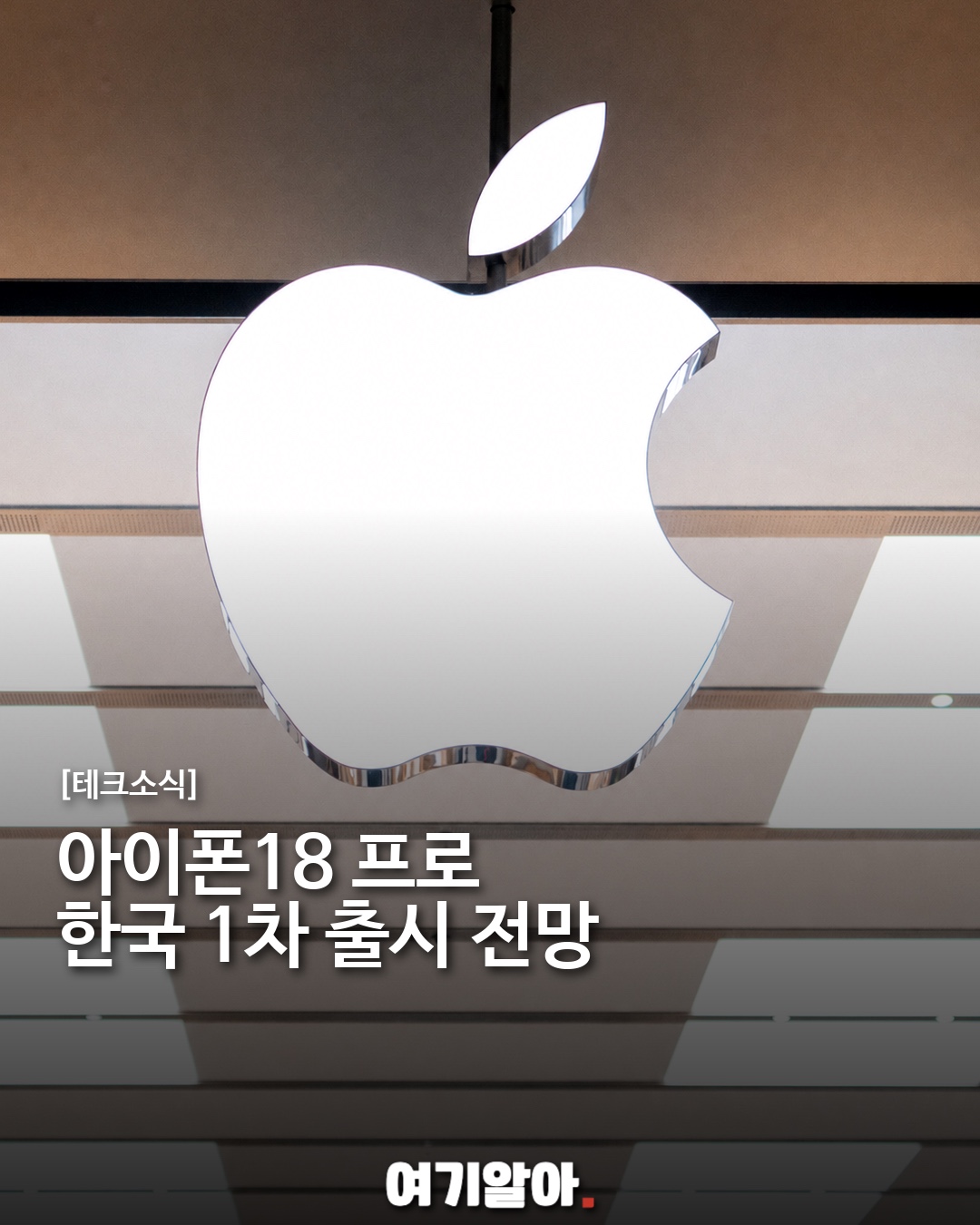 아이폰18 프로 한국 1차 출시 전망